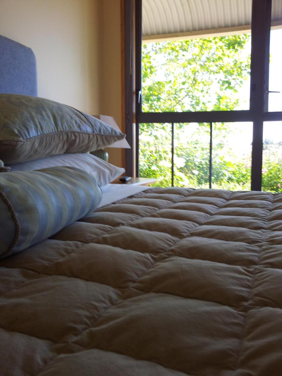 Hawkdun Rise Vineyard & Accommodation 亚历山德拉 外观 照片